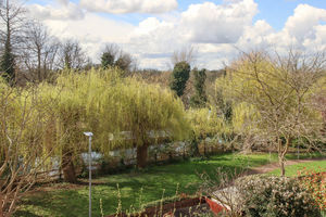 Photo 16- click for photo gallery